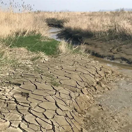 Backbord & Steuerbord